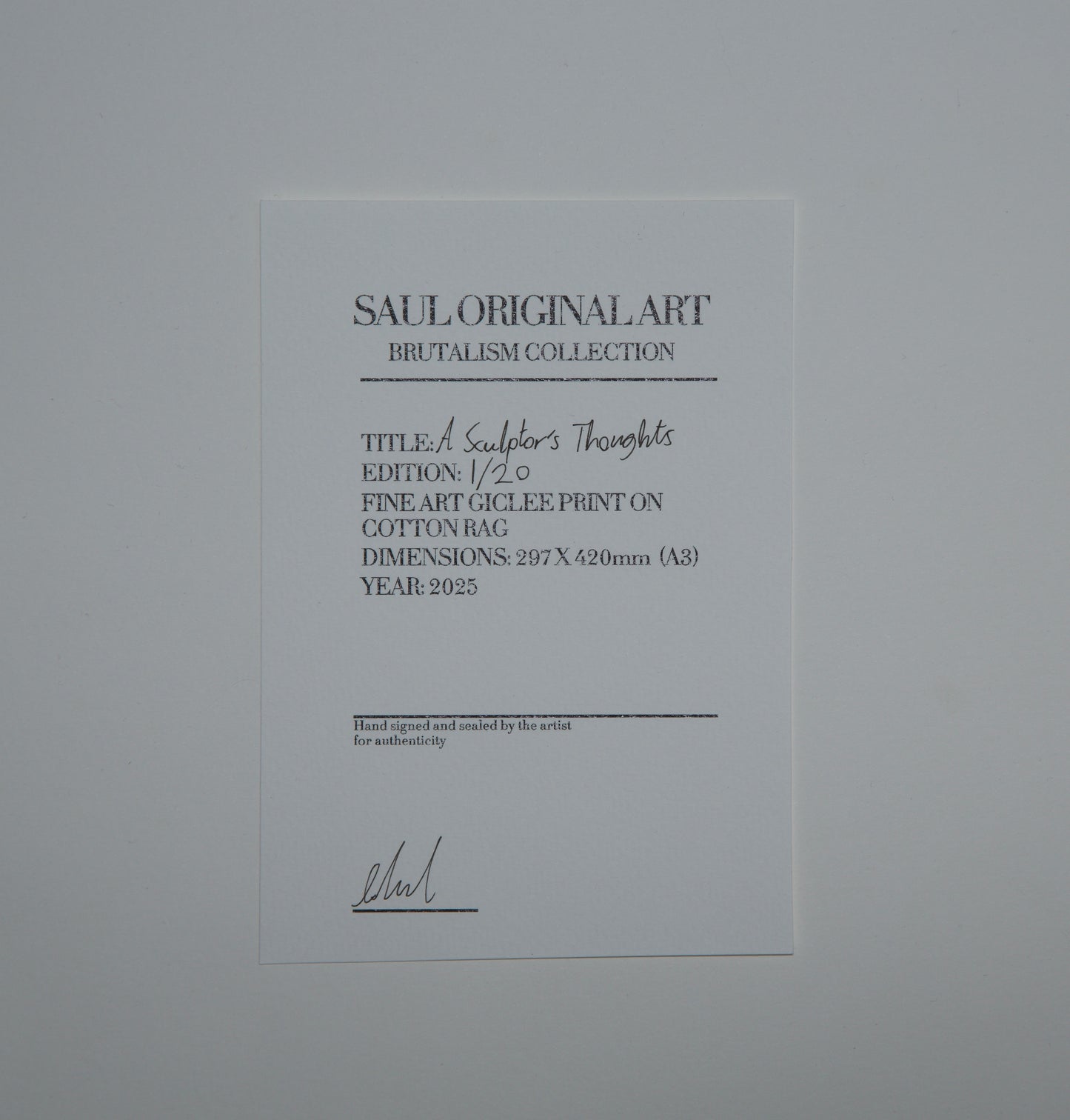 A Sculptor's Thoughts